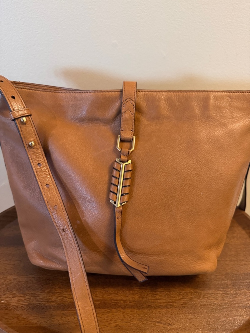 Covet Classic Leather Tote Bag in Tan